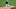 New York Yankees New York Yankees