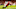 ATHENS, GA – NOVEMBER 21: Terry Godwin ATHENS, GA – NOVEMBER 21: Terry Godwin