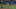 Courtesy of MLB.com/Cut4 Courtesy of MLB.com/Cut4