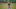 DraftKings DraftKings