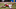 Nick Nelson NFL Draft Nick Nelson NFL Draft