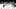 Toronto Maple Leafs
