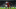 Liverpool vs Brighton predicted team Trent Alexander-Arnold Liverpool vs Brighton predicted team Trent Alexander-Arnold