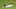 DraftKings