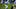 BYU football BYU football
