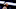 New Orleans Pelicans, Willie Cauley-Stein New Orleans Pelicans, Willie Cauley-Stein