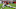 Philadelphia Eagles Jaylen Waddle Philadelphia Eagles Jaylen Waddle