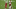 GLENDALE, ARIZONA – SEPTEMBER 20: Corey Peters #98 of the Arizona Cardinals celebrates a sack on Dwayne Haskins Jr #7 of the Washington Football Team as Geron Christian Sr #74 looks on at State Farm Stadium on September 20, 2020 in Glendale, Arizona. (Photo by Norm Hall/Getty Images) GLENDALE, ARIZONA – SEPTEMBER 20: Corey Peters #98 of the Arizona Cardinals celebrates a sack on Dwayne Haskins Jr #7 of the Washington Football Team as Geron Christian Sr #74 looks on at State Farm Stadium on September 20, 2020 in Glendale, Arizona. (Photo by Norm Hall/Getty Images)