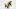 Boston Bruins Boston Bruins