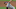 MLB DFS MLB DFS