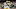 Green Bay Packers