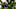 Marc Leishman Travelers Championship Marc Leishman Travelers Championship