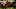 CYPRESS, CA – DECEMBER 17: California Chrome CYPRESS, CA – DECEMBER 17: California Chrome