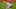 Philadelphia Phillies Philadelphia Phillies