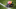 Nov 14, 2015; East Lansing, MI, USA; General view of a Maryland Terrapins helmet on the field prior to a game against the Michigan State Spartans at Spartan Stadium. Mandatory Credit: Mike Carter-USA TODAY Sports Nov 14, 2015; East Lansing, MI, USA; General view of a Maryland Terrapins helmet on the field prior to a game against the Michigan State Spartans at Spartan Stadium. Mandatory Credit: Mike Carter-USA TODAY Sports