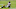 Chicago Bears Chicago Bears