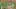 Screen Shot 2016-07-26 at 12.39.05 PM Screen Shot 2016-07-26 at 12.39.05 PM