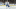 Toronto Maple Leafs Toronto Maple Leafs