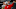 Kansas City Chiefs KC Chiefs Andy Reid Kansas City Chiefs KC Chiefs Andy Reid
