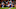 New England Patriots