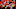 Kansas City Chiefs wide receiver Demarcus Robinson Kansas City Chiefs wide receiver Demarcus Robinson