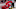 Detroit Red Wings Detroit Red Wings