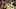 Denver Nuggets