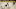 Golden State Warriors’ Stephen Curry and James Wiseman against the Los Angeles Lakers in October. (Photo by Tayfun Coskun/Anadolu Agency via Getty Images) Golden State Warriors’ Stephen Curry and James Wiseman against the Los Angeles Lakers in October. (Photo by Tayfun Coskun/Anadolu Agency via Getty Images)
