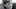 Larry Staverman Larry Staverman