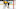 Boston Bruins Boston Bruins