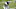 Philadelphia Eagles Philadelphia Eagles