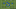 Spurs - Football tactics and formations Spurs - Football tactics and formations