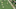 8 8
