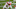 MOBILE, AL – JANUARY 30: Runningback Elijah Mitchell #15 from Louisiana takes an hand off from Quarterback Kellen Mond #12 from Texas A&M of the American Team during the 2021 Resse’s Senior Bowl at Hancock Whitney Stadium on the campus of the University of South Alabama on January 30, 2021 in Mobile, Alabama. The National Team defeated the American Team 27-24. (Photo by Don Juan Moore/Getty Images) MOBILE, AL – JANUARY 30: Runningback Elijah Mitchell #15 from Louisiana takes an hand off from Quarterback Kellen Mond #12 from Texas A&M of the American Team during the 2021 Resse’s Senior Bowl at Hancock Whitney Stadium on the campus of the University of South Alabama on January 30, 2021 in Mobile, Alabama. The National Team defeated the American Team 27-24. (Photo by Don Juan Moore/Getty Images)