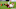 Arsenal, Philippe Coutinho