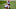Cleveland Browns Cleveland Browns