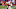Allen Lazard Allen Lazard