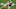 Philadelphia Eagles Larry Fitzgerald Philadelphia Eagles Larry Fitzgerald