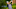 PGA Championship 2021 PGA Championship 2021