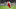 Arsenal, Alex Iwobi Arsenal, Alex Iwobi