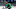 Dallas Stars, Joe Pavelski Dallas Stars, Joe Pavelski