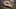 NASCAR DFS NASCAR DFS