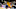 new york knicks new york knicks