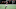 ATLANTA, GA – SEPTEMBER 30: Calvin Ridley #18 of the Atlanta Falcons runs after a catch during the second quarter against the Cincinnati Bengals at Mercedes-Benz Stadium on September 30, 2018 in Atlanta, Georgia. (Photo by Scott Cunningham/Getty Images) ATLANTA, GA – SEPTEMBER 30: Calvin Ridley #18 of the Atlanta Falcons runs after a catch during the second quarter against the Cincinnati Bengals at Mercedes-Benz Stadium on September 30, 2018 in Atlanta, Georgia. (Photo by Scott Cunningham/Getty Images)