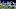 Dallas Cowboys Dallas Cowboys