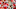 2019 NFL Mock Draft 2019 NFL Mock Draft