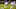 SAN DIEGO, CA – DECEMBER 05: Timothy McVey