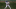 Chicago Cubs 40-man roster, Nick Madrigal Chicago Cubs 40-man roster, Nick Madrigal
