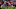 49ers roster cuts 2019 top mistakes 49ers roster cuts 2019 top mistakes
