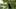 Adam Scott PGA Championship Adam Scott PGA Championship